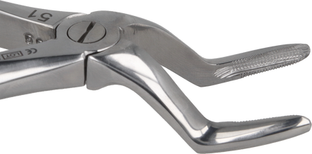 Berten type extraction forceps PLUS - 51 upper roots