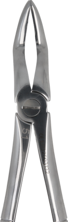 Berten type extraction forceps PLUS - 51 upper roots
